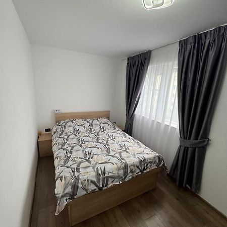 Sica Guesthouse Борша Екстер'єр фото