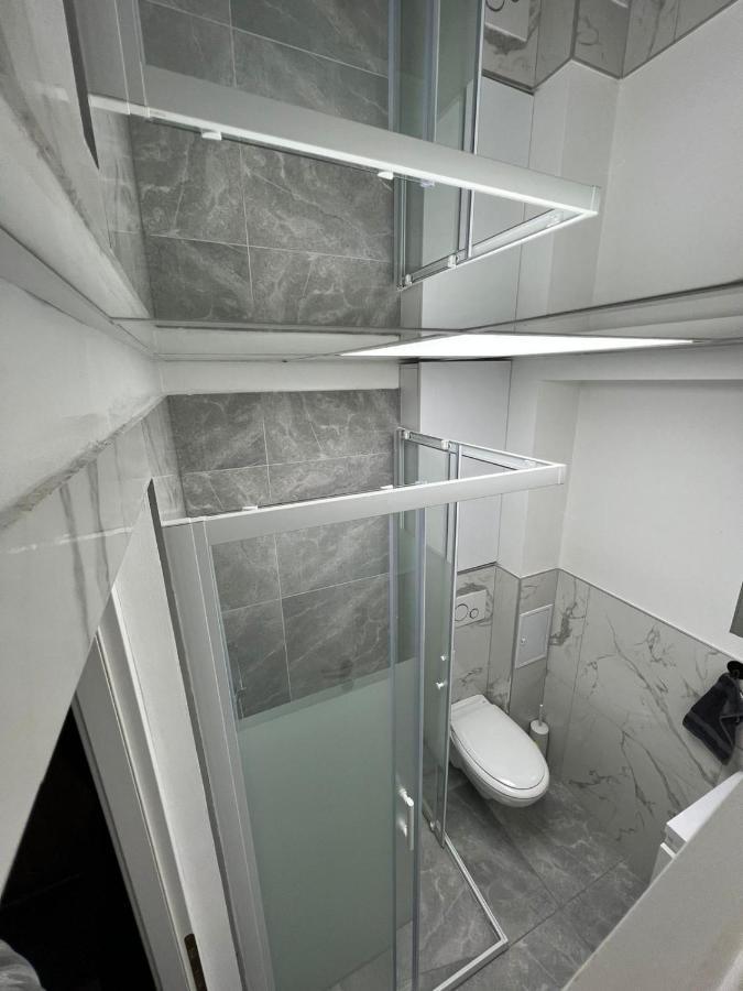 Sica Guesthouse Борша Екстер'єр фото